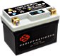 OEM Lithium-Ionen Batterien für Livewire 2020→