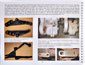 Inline Gallery Thumbnail