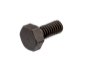 Colony Linkert Air Cleaner Screws