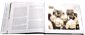 Inline Gallery Thumbnail