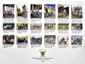Inline Gallery Thumbnail