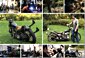 Inline Gallery Thumbnail