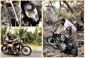 Inline Gallery Thumbnail