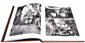 Inline Gallery Thumbnail