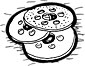 Brake Rotors