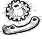 Clutch Parts for Big Twin 1941-early 1984
