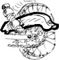 Chain Guards OEM Replacement