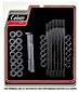 Kits de tornillos para cárter motor: Evolution Big Twin