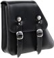 Solo Saddlebag Sportster