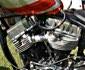 Inline Gallery Thumbnail