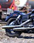 Inline Gallery Thumbnail